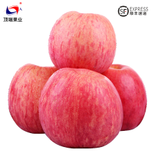 洛川苹果  陕西水果苹果水果红富士6枚中果约1.5kg 新鲜苹果水果