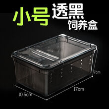 饲养盒人渣盒宠物箱子爬虫守宫蜥蜴蝎子角蛙蜘蛛蜗牛乌龟缸饲养箱 小号黑色饲养盒
