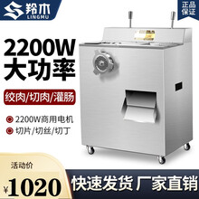 羚木绞肉机商用大功率立式多功能电动全自动切肉片切丝灌肠不锈钢大型绞肉机 配置三（店长推荐）