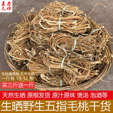 康中尊 正宗野生五指毛桃根干货椰香奶香煲汤无硫新鲜天然材料泡酒 500克