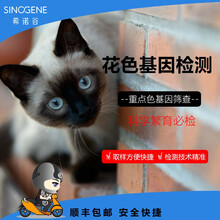 希诺谷 宠物猫咪花色毛色基因检测 体检猫咪纯白及白斑、纯黑、重点色基因检测 繁育毛色检测 重点色基因