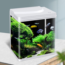 【多仓发货】博宇生态金鱼缸变色水族箱客厅小型迷你造景水草灯乌龟缸草缸免换水办公室孔雀热带鱼 白25长19宽29高 变色小鱼缸 标配（变色灯光系统+过滤系统）