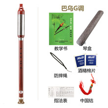 杉贝 SHANBEI 巴乌乐器横吹竖吹小学生成人儿童初学者入门抖音同款 巴乌横竖两吹F调+六大