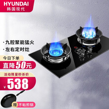 韩国现代（HYUNDAI）燃气灶煤气灶天然气灶台 天然气液化气猛火双灶 台嵌两用炉灶家用猛火炉具 【人气高配】4.8KW定时鸳鸯九腔灶【液化气】 【送货入户服务】