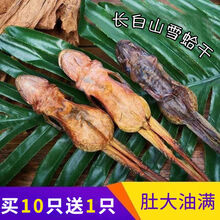 【网红半吨同款】长白山林蛙干整只雪蛤干林蛙油滋补煲汤肚大油满特产 【17-18g/只】