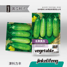 水果黄瓜种籽旱黄瓜节瓜种子老品种甜脆不苦春秋蔬菜瓜果种孑籽种 植趣水果黄瓜2克