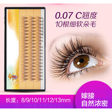 D假睫毛单簇假睫毛嫁接睫毛10D单簇10根0.07有梗热熔朵毛单簇眼睫单盒60朵 10根/朵0.07粗-9mm