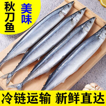 新鲜秋刀鱼 价格 图片 品牌 怎么样 京东商城 新鲜秋刀鱼 价格 图片 品牌 怎么样 京东商城