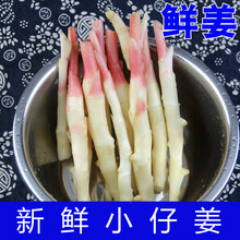 嫩姜生姜新鲜姜姜芽小仔姜红芽姜四川腌制农家整箱现挖蔬菜 大姜芽3斤