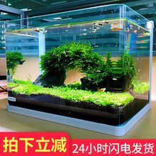 森森鱼缸小型水族箱超白玻璃生态金鱼缸办公桌水草缸 长23cm热弯超白缸+灯+过滤器+假山景