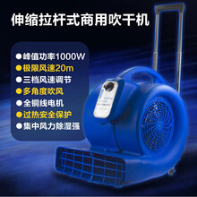 小型吹地机商用干地机冷热双风除湿机卫生间通风机酒店地吹风机初瑾 大型1000瓦(自然风)