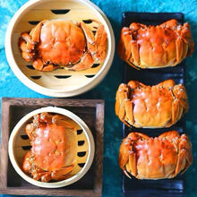 大闸蟹鲜活现货六月黄特大公母蟹活体3.5-1.3两螃蟹河蟹 2.0-2.5两12只(六月黄)