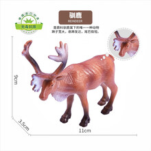 wenno玩具仿真动物海洋模型软胶摆件男女孩狮子大象老虎儿童生日礼物玩具 驯鹿