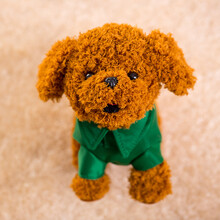 创意电动玩具笨笨狗走路会叫会唱歌电子宠物遥控儿童益智毛绒玩具狗 金毛绿衣舌头狗 120首歌曲电池版，会背唐诗讲故事