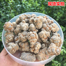 康中尊 云南文山三七20头30头40头18春田七500g圆头可代磨粉片狮子头 39个无剪口500克