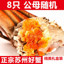 活鲜【冷链运输】大闸蟹鲜活 螃蟹特大公母 现货海鲜镇8 /16只礼盒装 欧登城娜 【公母2.5-2.0两】8只