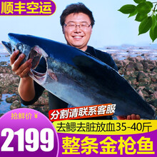 渔人百味金枪鱼新鲜金枪生鲜鱼整条16-100斤金枪鱼头鱼脖子下巴鱼眼南方蓝旗大目刺身海鲜冷冻黄旗 金枪鱼整条35-40斤