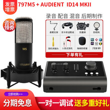 797audio 北京797AUDIO M5大震膜电容麦克风录音CV直播K歌翻唱人声话筒吉他弹唱 797 M5+Audient ID14 MKII