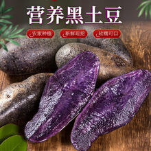 新鲜土豆紫土豆批发农家马铃薯黑洋芋黑金刚黑土豆农产品蔬菜 黑红土豆五斤混合装