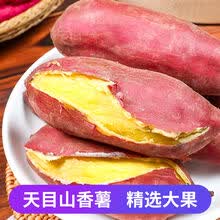 临安天目山香薯【现挖现发】鸡蛋薯 小香薯 新鲜蔬菜 现挖板栗红薯番薯 粉糯香甜 地瓜 宝宝辅食 大果（粉糯无筋） 10斤