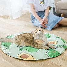 萌主来了 宠物冰垫 狗狗凉席夏季降温泰迪狗窝猫窝猫咪垫子 均码(38*38)