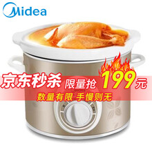 美的电炖锅小容量炖锅家用炖锅BGH20A 银色