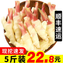 【顺丰速运】山东嫩仔姜 姜芽 现挖大仔姜 新鲜蔬菜可醋泡姜 5斤装