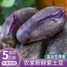 新鲜紫薯 糖心红薯 烟薯25号 紫罗兰小紫薯  天目山小香薯5斤 黑土豆 紫色马铃薯 黑美人小土豆 紫土豆 3斤