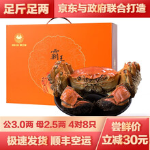 【活蟹 去绳净重】宿有千香大闸蟹 洪泽湖大闸蟹生鲜现货 鲜活螃蟹礼盒 生鲜骆马湖河蟹实物6月黄促销 公3两 母2.5两 4对8只