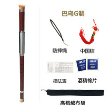 杉贝 SHANBEI 巴乌乐器横吹竖吹小学生成人儿童初学者入门抖音同款 巴乌横吹G调+四大(无盒子)