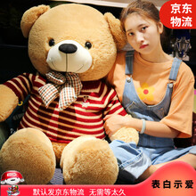 正版泰迪熊猫公仔毛绒玩具抱抱熊大熊可爱布娃娃玩偶睡觉抱枕床上玩偶布娃娃女可爱情人节礼物生日礼物女孩 浅棕色(配红色毛衣) 80厘米【胖版】(送毛绒挂件+仿真玫瑰花)