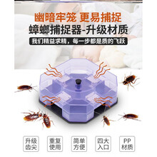 家居清理器蟑螂 家居清理器蟑螂灭捕抓捕捉器神器克星家用捉杀诱捕大小蟑螂屋盒子