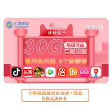 中国移动 移动大流量卡大王卡上网卡中国移动g大流量卡低月租号码可选套餐卡电话卡 花卡宝藏卡30G专属流量+3个亲情号+首月免月租