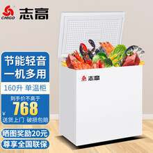 志高（CHIGO）160升冰柜家用冷柜冷藏冷冻转换冷柜冰柜卧式小冰柜冰箱 160升【省电款 一级能效】