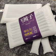 白鹅毛枕   雅兰寝饰零压力慢回弹五星级酒店护颈椎宿舍枕头枕芯 一只装 高枕(10公分左右) 48*75