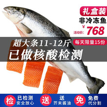 国际	尚致【礼盒装核酸已检测】新鲜非冷冻鱼现杀挪威三文鱼整条11-12斤即食三文鱼生鲜鱼类三文鱼刺身海鲜