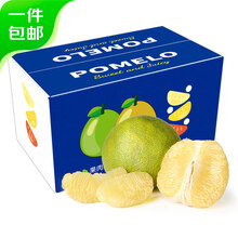 京鲜生 泰国蜜柚 泰柚 青皮白心蜜柚 1粒装 单果600g+ 源头直发包邮