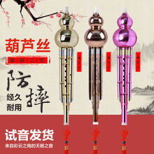 【官方直销】镀铜防摔葫芦丝c调降b调小学生零基础初学自学胡芦丝课堂金灵乐器 金黄色C调+琴盒+中国结+教材乐谱书+消毒棉