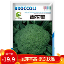 凤鸣雅世  有机菜花种子青梗松花菜种子四季蔬菜种子花椰菜菜花菜种子春季阳台菜种子盆栽菜种子春季菜籽 都市菜园西兰花种子 200粒