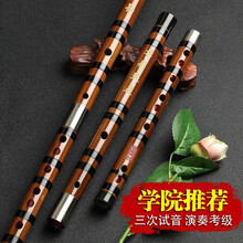演奏笛子精制竹笛儿童初学零基础乐器CDE横笛专业大AGF降B调 F调(全套配件)初学推荐