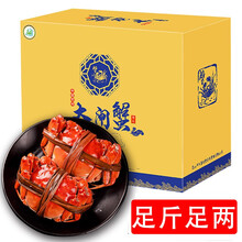 【活蟹】蟹灵阁六月黄大闸蟹礼盒 鲜活螃蟹河蟹公母蟹河鲜阳澄湖镇 3.0-3.5两 10只