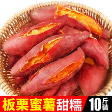 蜜薯板栗红薯新鲜10斤中果农家红心地瓜沙地小番薯香糖心烟山芋 中果 5斤