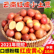 大地果缘 云南黄皮红皮迷你小土豆5斤新鲜老品种农家自种黄心红心10 5000g