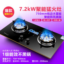 好太太煤气灶家用双灶台式嵌入式燃气灶两用天然气液化气猛火炉具 7.2KW双猛火+熄保+提锅小火 天然气