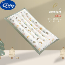 迪士尼自l营新品  儿童枕头2决明子6岁以上4小学生9枕芯3宝宝8幼儿园专用7夏季5小孩 冷暖双面+新款包边【动物森林枕套】0-3岁