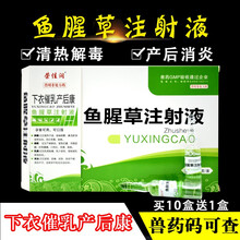 兽药兽用鱼腥草注射针液益母产后康母猪牛羊马犬猫消炎鱼腥草针剂10ml*10支芮添