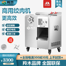 【羚木】绞肉机商用大功率立式多功能电动全自动切肉片切丝灌肠不锈钢大型绞肉机 绞切机【不锈钢脱卸式】