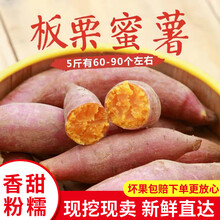 山东沙地红蜜薯 小果/大果5斤装  黄心红薯新鲜 现挖发货   5斤约8-14根 黄心红薯3斤装