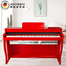 爱里森（ANYSEN) 便携式电钢琴88键重锤专业成人家用幼师初学者电钢立式数码电子钢琴 ANYS-02 推拉盖 钢琴手感逐级配重键-烤漆红