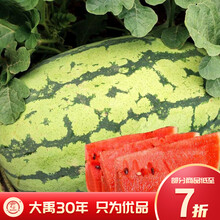 大禹 特大西瓜种子南方8424早熟麒麟瓜薄皮沙瓤水果种籽四季播春季种植 早佳8424西瓜种子 30粒简装